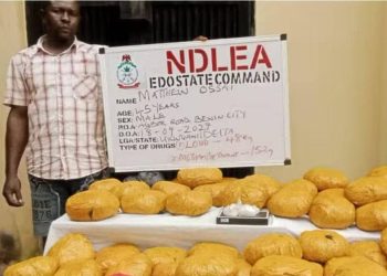 NDLEA Arrests Mechanic for ‘Using Workshop to Store Cannabis, Meth’ in Edo