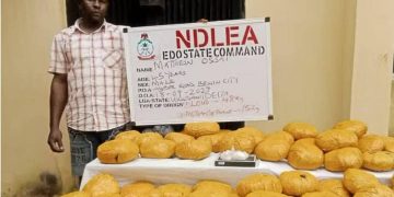 NDLEA Arrests Mechanic for ‘Using Workshop to Store Cannabis, Meth’ in Edo