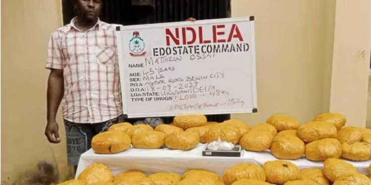 NDLEA Arrests Mechanic for ‘Using Workshop to Store Cannabis, Meth’ in Edo