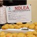 NDLEA Arrests Mechanic for ‘Using Workshop to Store Cannabis, Meth’ in Edo