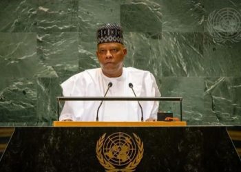 Nigeria to Renew UN Security Council Push, Reforms at UNGA81