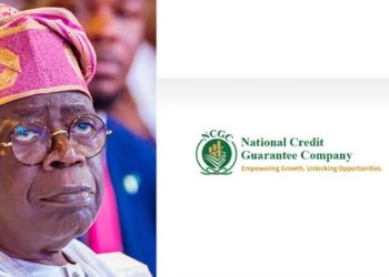 ‎‎Credit Guarantee Scheme Unlocked N46.95 billion in Loans: Tinubu