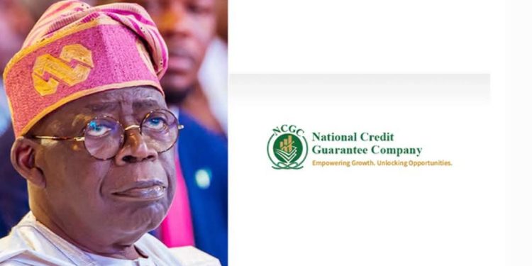 ‎‎Credit Guarantee Scheme Unlocked N46.95 billion in Loans: Tinubu