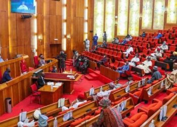Senate Extends 2025 Budget Implementation to 31st Dec 2026