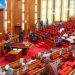 Senate Extends 2025 Budget Implementation to 31st Dec 2026