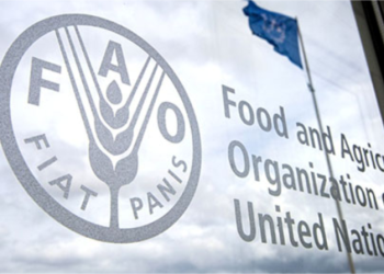 FAO Urges Increased Investment in Agroecology to Boost Africa’s Food Security, Climate Resilience