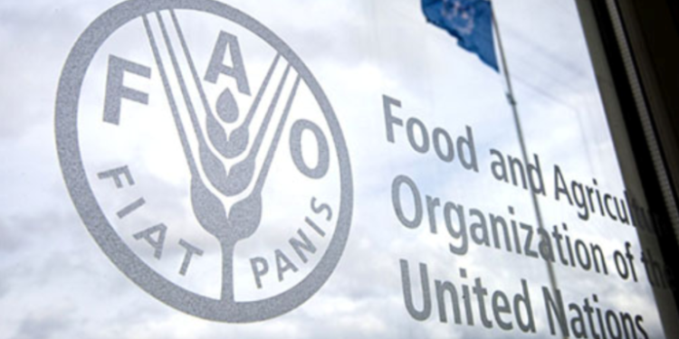 FAO Urges Increased Investment in Agroecology to Boost Africa’s Food Security, Climate Resilience