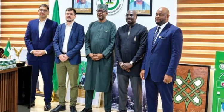 SWAN Urges FIFA, CAF to Reset Nigeria’s Football Governance