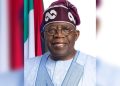 Leke Abejide: The Man Whose Love for Asiwaju Drives His Blood