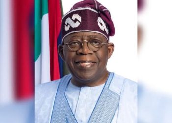 Leke Abejide: The Man Whose Love for Asiwaju Drives His Blood