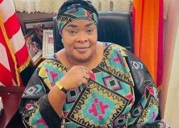 ECOWAS MP Demands Stronger Powers for Regional Parliament
