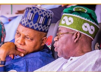 Tinubu’s Diplomatic Hat-trick: Dignity in Luanda, Destiny in Delhi, Justice in New York