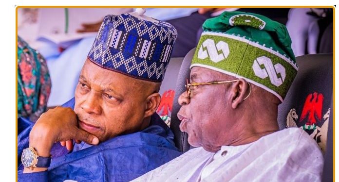 Tinubu’s Diplomatic Hat-trick: Dignity in Luanda, Destiny in Delhi, Justice in New York