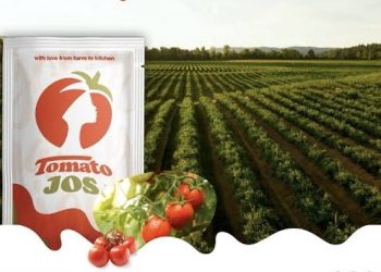 EU-Funded AgriFI Invests $2.5 Million in Tomato Jos