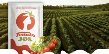 EU-Funded AgriFI Invests $2.5 Million in Tomato Jos
