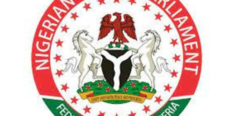 Youth Parliament Seeks Stronger Media Literacy Framework in Borno