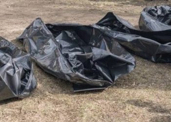 Three Siblings Found Dead Near River in Ondo: Police