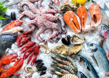 Nigeria, Norway Deepen Partnership on Aquaculture, Seafood Trade
