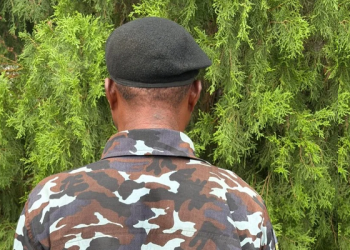 Police Begin Disciplinary Action Against Inspector Over Anti-Igbo, Obi Remarks ‎