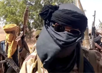 Bandits Killed Immigration Officer in Niger: NIS
