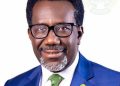 Omosehin: NAICOM’s  Recapitalisation That Puts Policyholders First