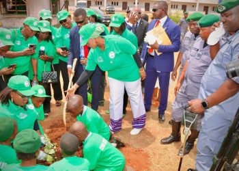 COWA plants 14,882 trees, mobilises 682 green ambassadors in Abuja