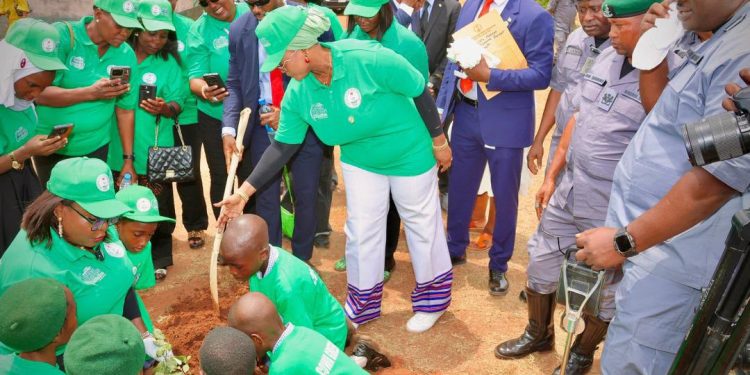 COWA plants 14,882 trees, mobilises 682 green ambassadors in Abuja