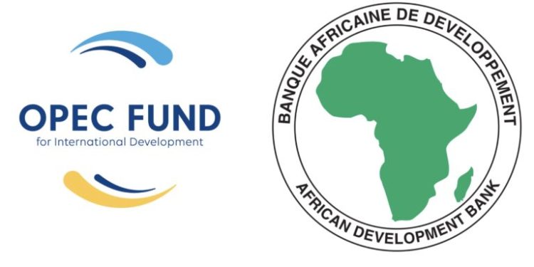 AfDB, OPEC Strengthen Environmental, Social Safeguards in Africa 