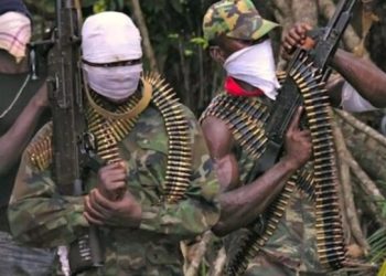 ‎US Supreme Court to Hear Nigerian Izuchukwu Ozurumba’s Asylum Eligibility Case Over Cooking for South-East’s Unknown Gunmen