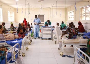 Katsina Level 14 Health Workers Opt for Federal Level Eight Jobs