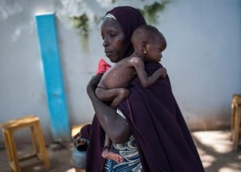 ICRC Reports 18% Rise in Malnutrition Cases in North-East