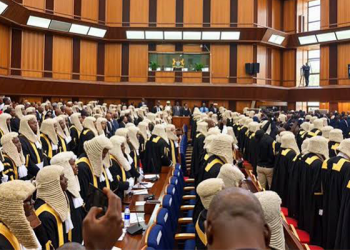 FULL LIST: Names of Newly Sworn-In SANs
