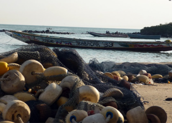 Number of West Africans Rushing to Europe Dropped 59% as Routes Get Deadlier: IOM