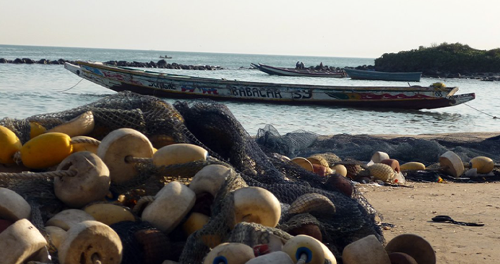 Number of West Africans Rushing to Europe Dropped 59% as Routes Get Deadlier: IOM