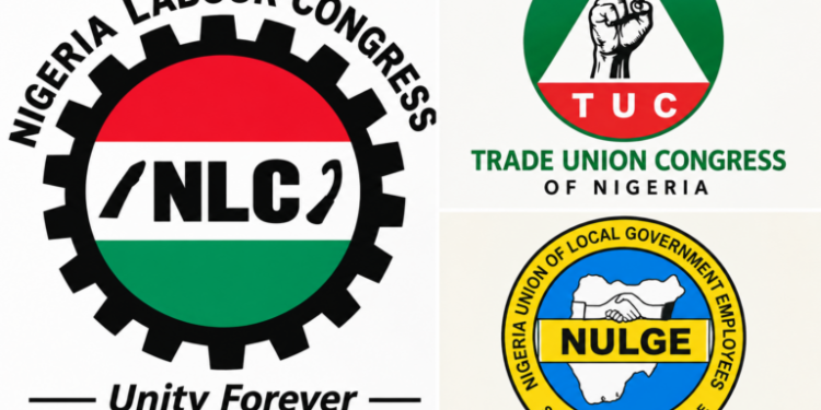 Abuja: Labour Unions Divided Over FCT Strike as TUC Orders Members to Work, NULGE Backs NLC 