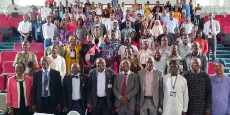 Nigeria Shown How to Turn Global Economic Disruptions Into Prosperity 
