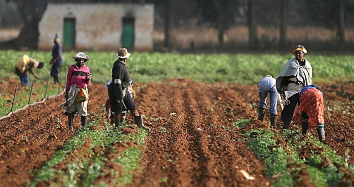 Agric Stakeholders React to Tinubu’s Independence Day Speech, Seek Cut to Production Costs
