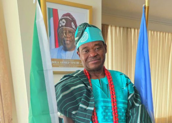 Nigeria Pushes Global Tax Reforms, Cheaper Development Loans at UN
