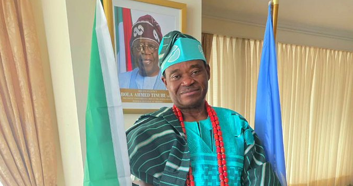 Nigeria Pushes Global Tax Reforms, Cheaper Development Loans at UN