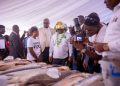 Bayelsa Governor Advises Youths to Embrace Agriculture ‎