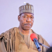Gov Zulum Urges Tinubu Govt to Resume Oil Exploration in Borno ‎